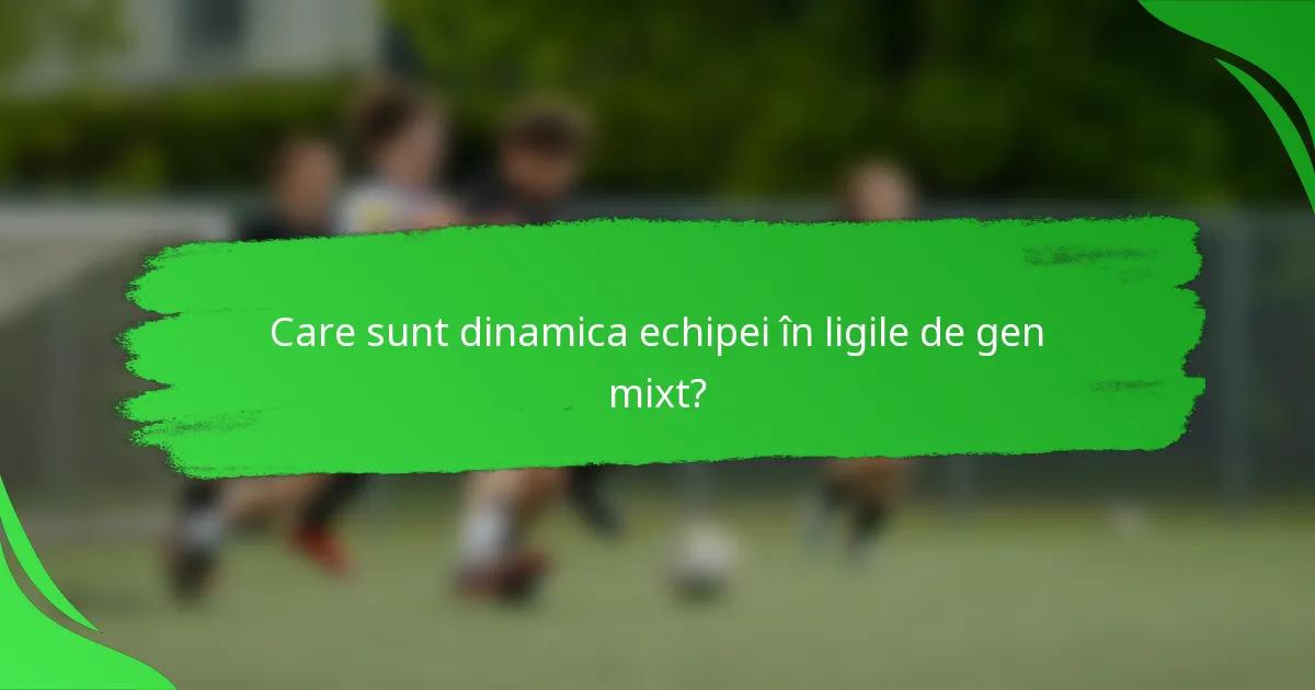 Care sunt dinamica echipei în ligile de gen mixt?