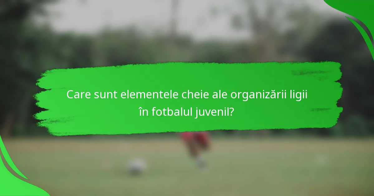 Care sunt elementele cheie ale organizării ligii în fotbalul juvenil?