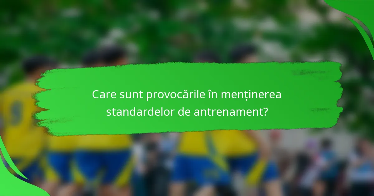 Care sunt provocările în menținerea standardelor de antrenament?