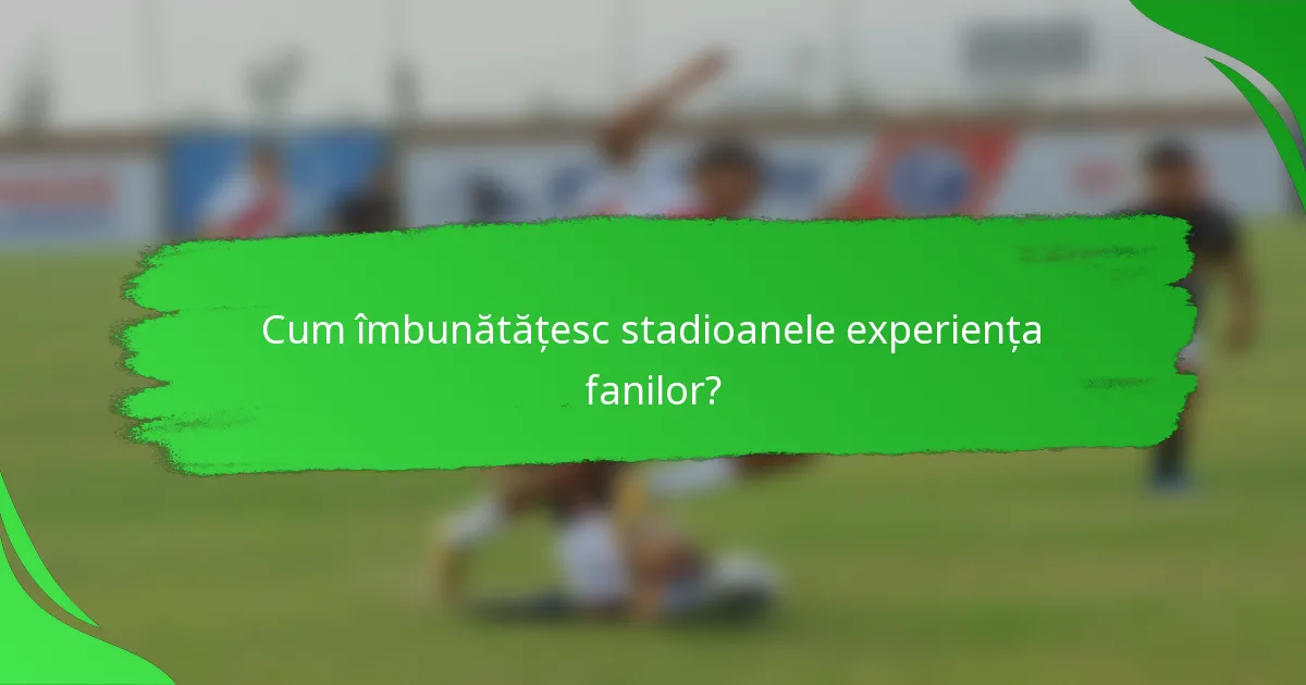 Cum îmbunătățesc stadioanele experiența fanilor?