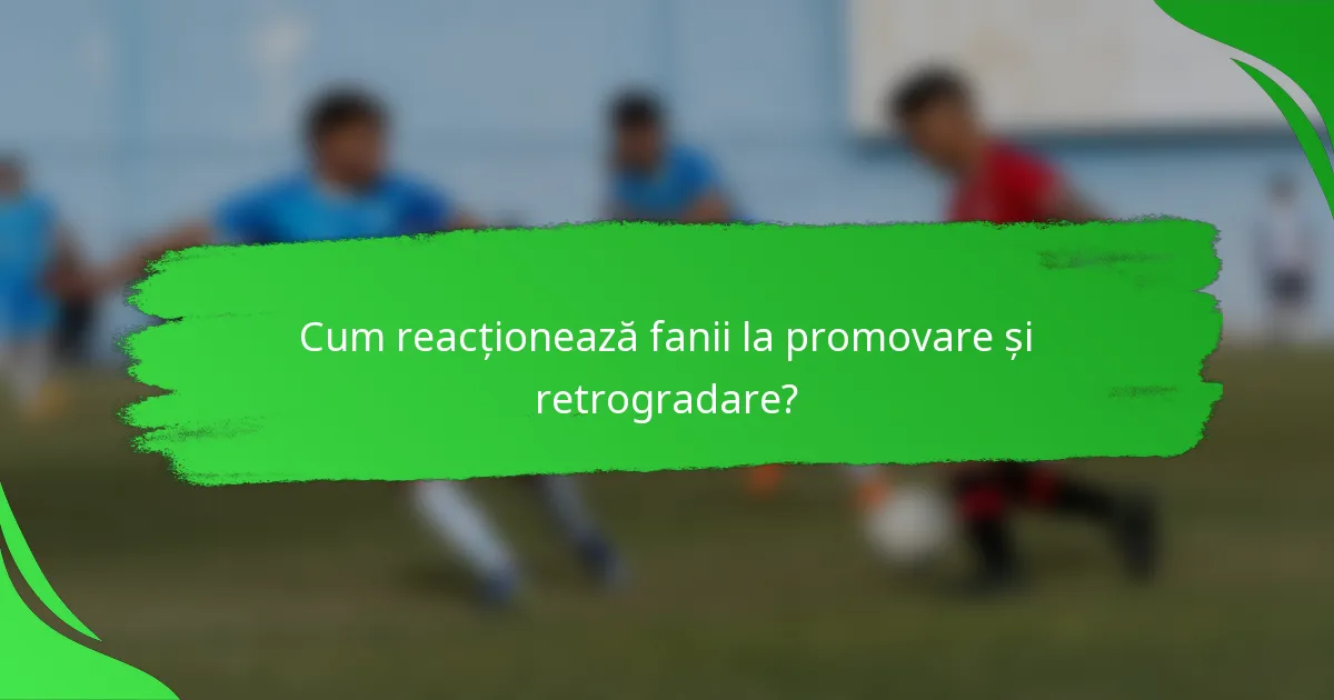Cum reacționează fanii la promovare și retrogradare?